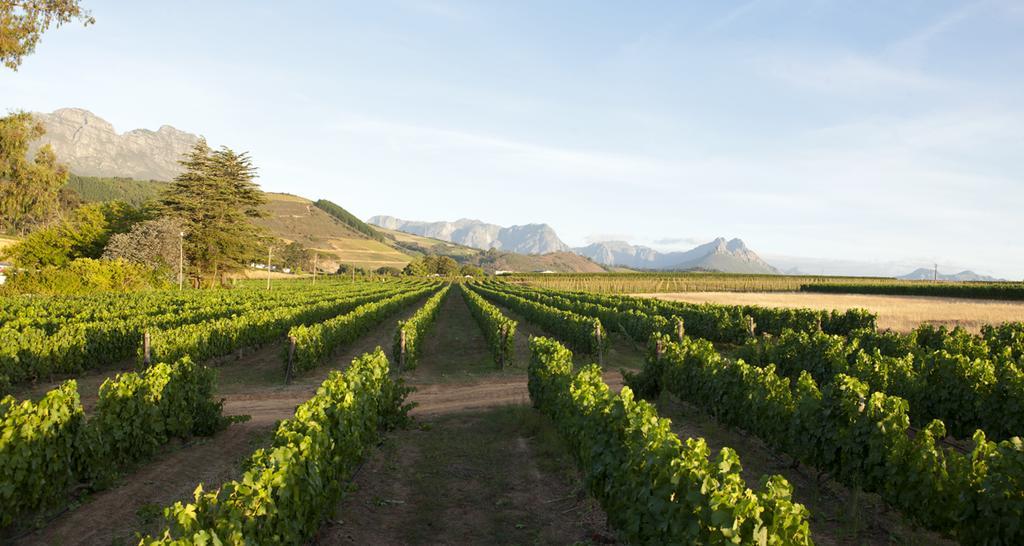 L'Avenir Country Lodge Stellenbosch Exterior foto